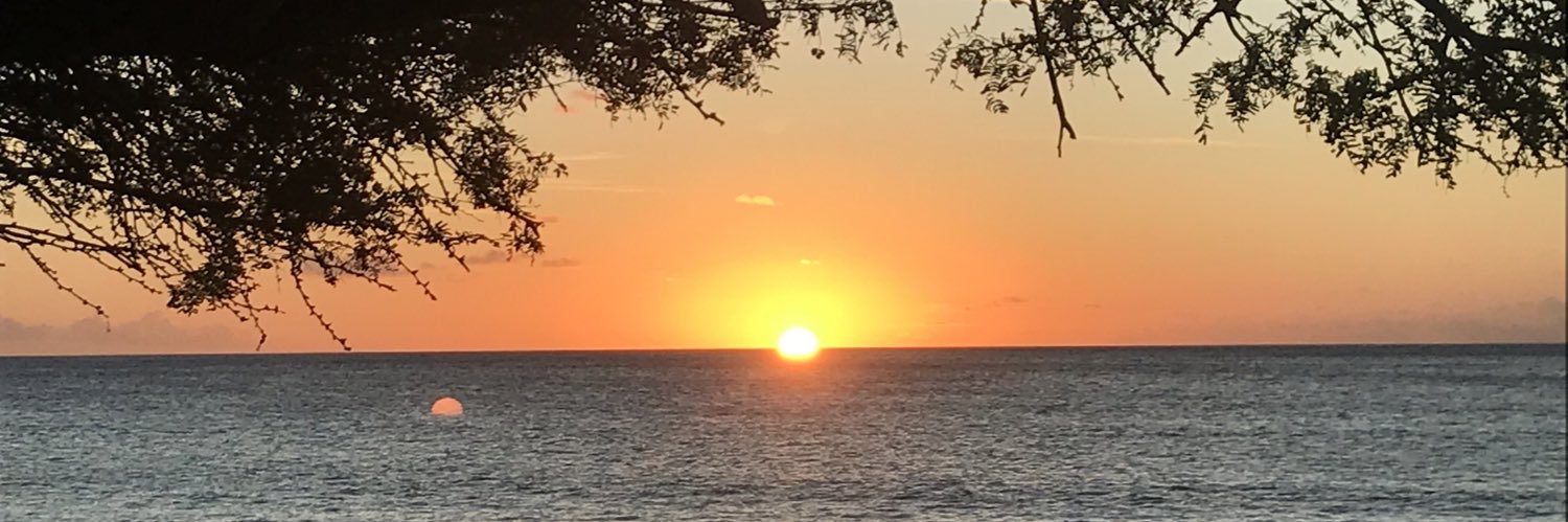 Deb Gately, Ed.D. banner