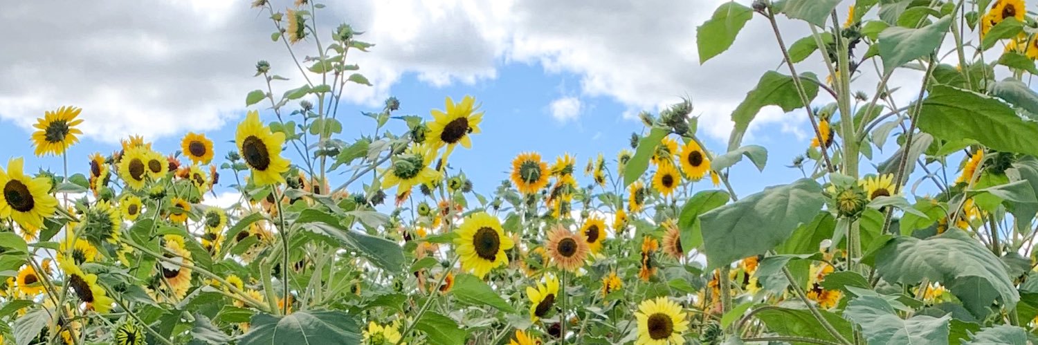 alliebernier00's profile banner image