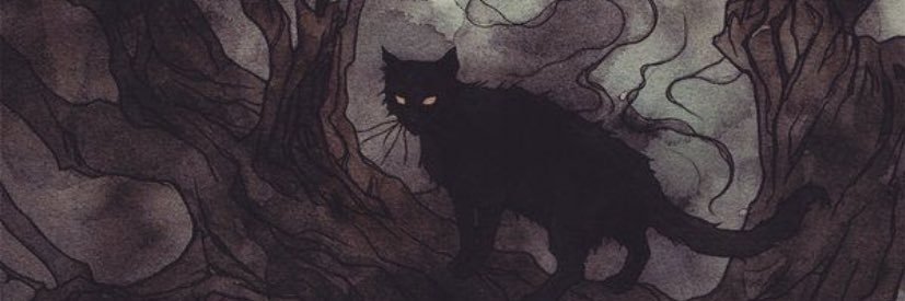 yasminrsanches's profile banner image