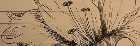 sgranderbean's profile banner image