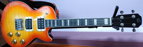 singerskates Profile Banner