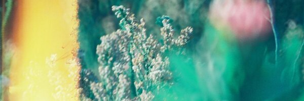 frommyfrontdoor Profile Banner