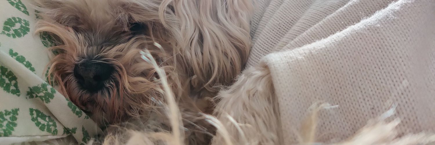 aislingduff's profile banner image