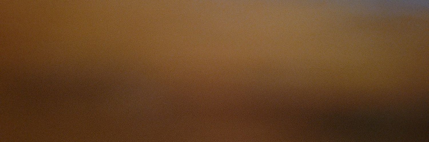MariResists2's profile banner image