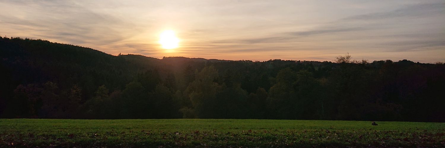 verojosverdes's profile banner image