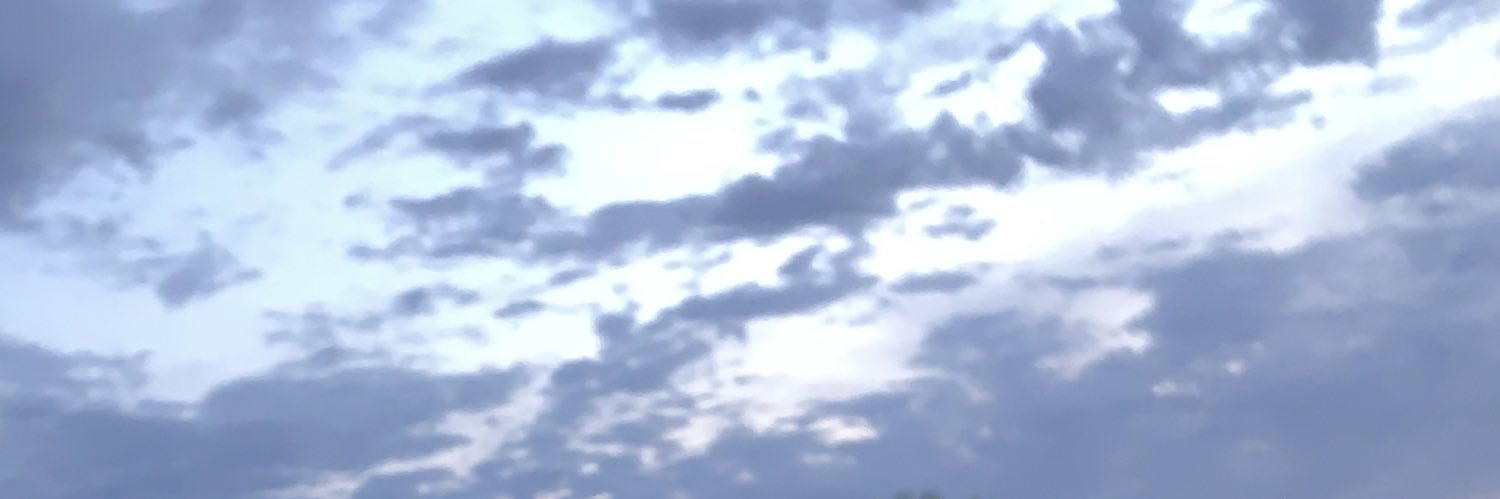 Ari banner