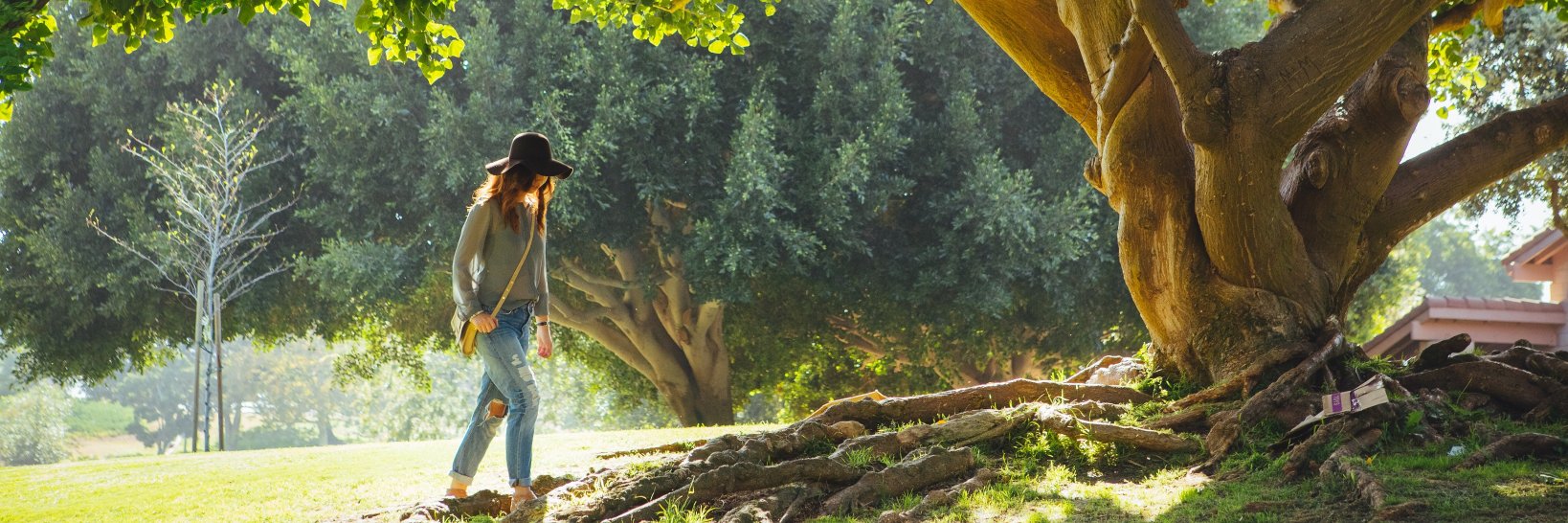 Deep Roots at Home banner
