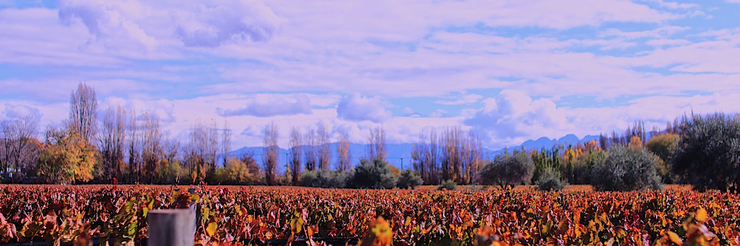 ubow's profile banner image
