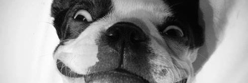 Luiz_Baron's profile banner image