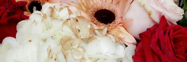 angssaaa's profile banner image