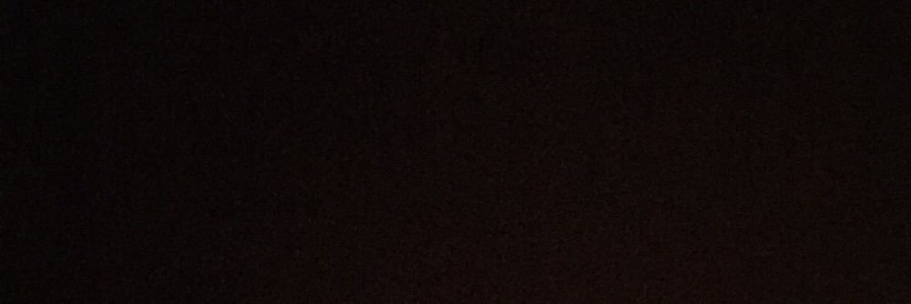 sofiscarpellini's profile banner image