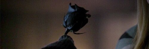 Hunting_You_'s profile banner image