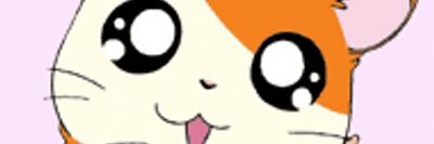 klkipoco's profile banner image