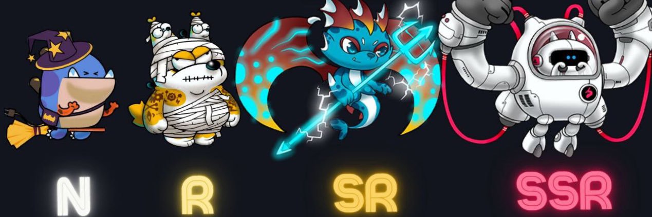 nsturker's profile banner image