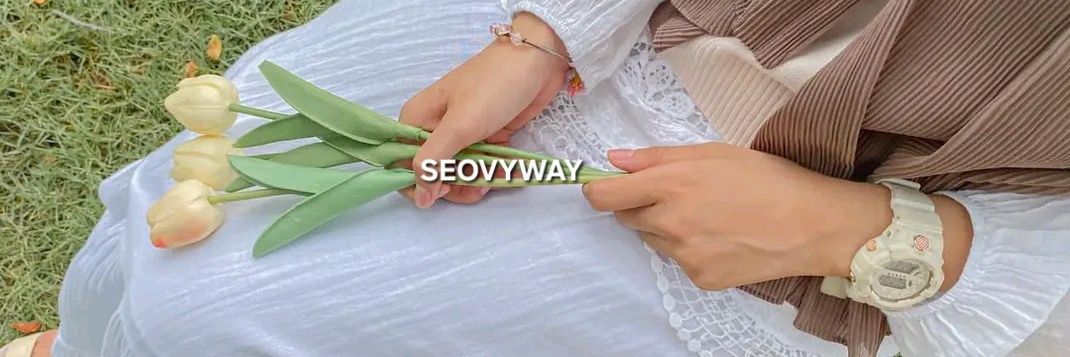 seovyway's profile banner image