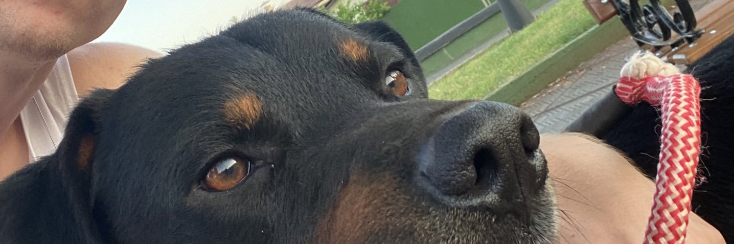 Jp_Gohlke's profile banner image