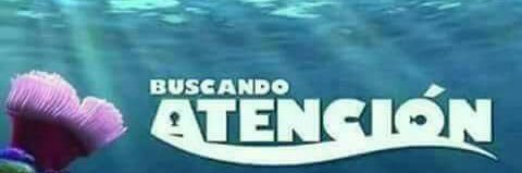 Sam banner