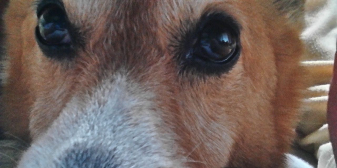 ZuMi38's profile banner image