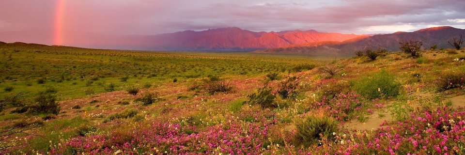 Stephenkituku1's profile banner image