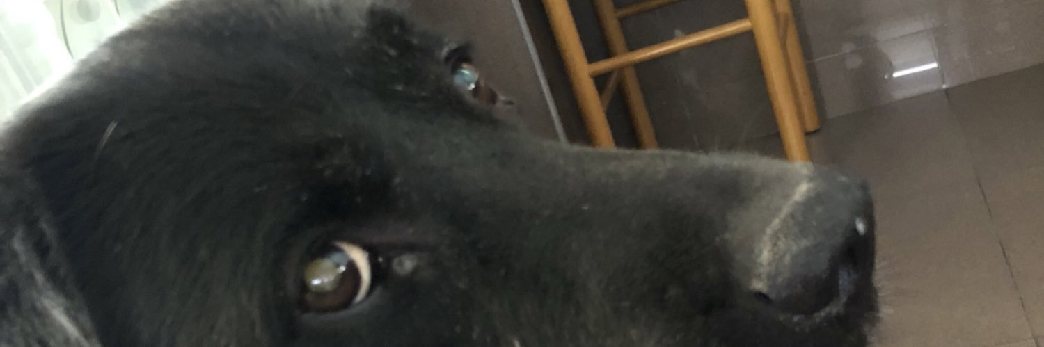 JOUK_er_II*Il 🤡 banner