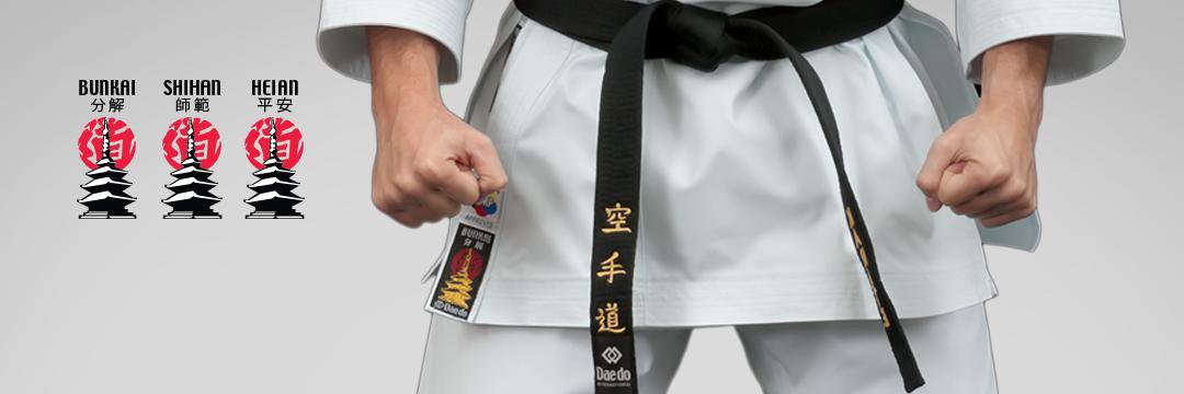 Daedo Karate banner