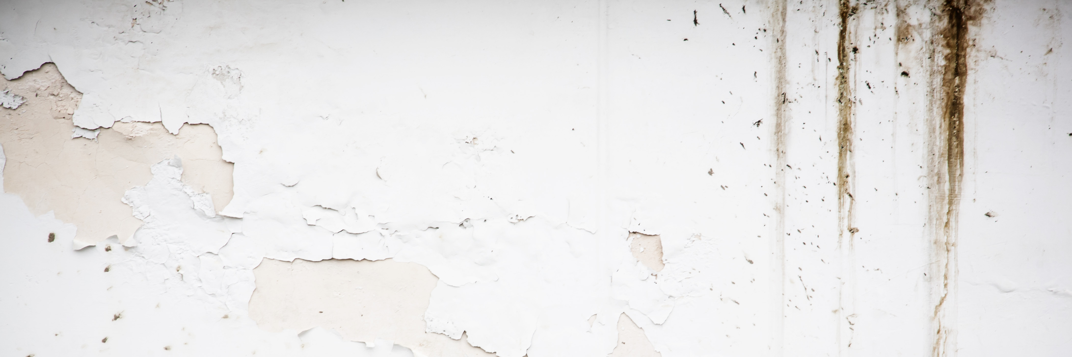 le_appleseed's profile banner image