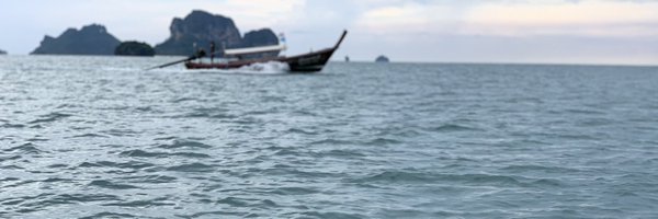 npgeetha Profile Banner