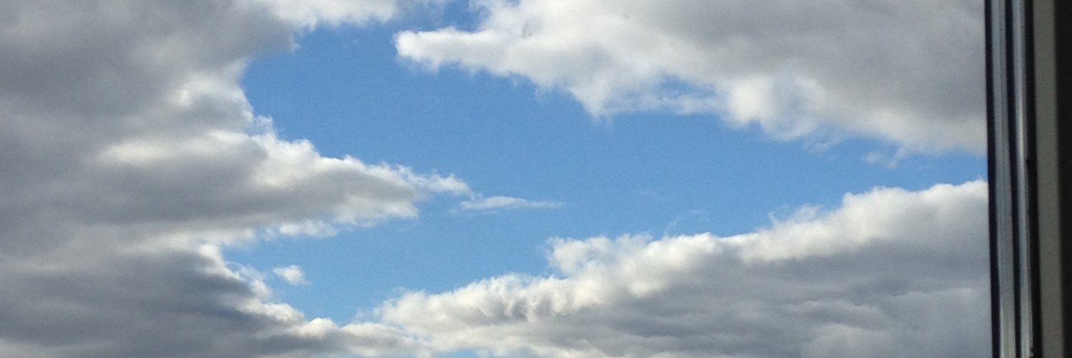 Max Forsback banner