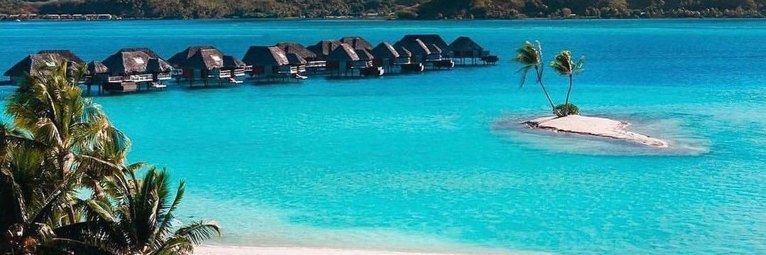 Lance Williams banner