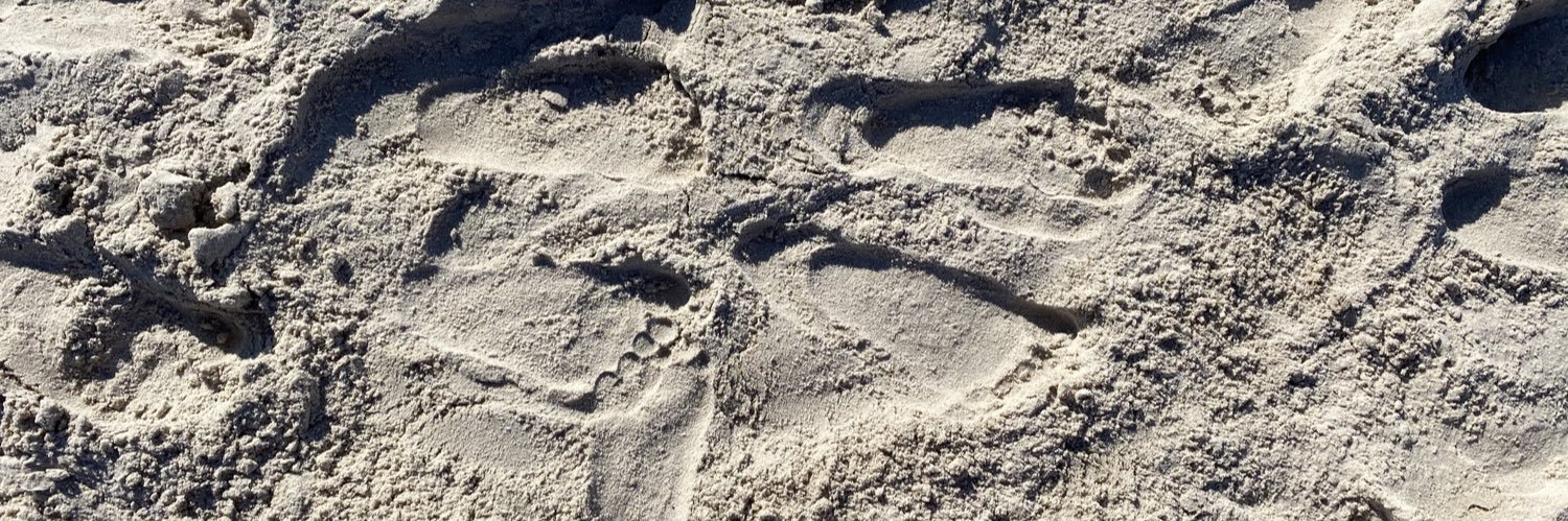 CatchAFallingStar* banner