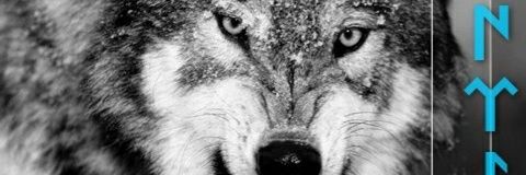 ysfertek09's profile banner image