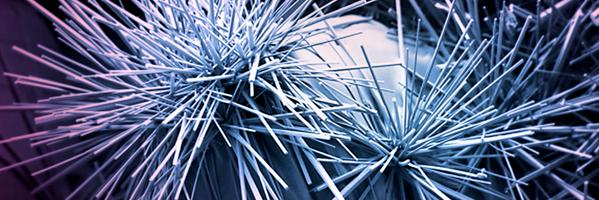 LabexMatisse Profile Banner