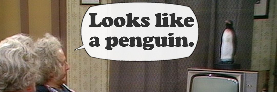 PapaTerminus's profile banner image