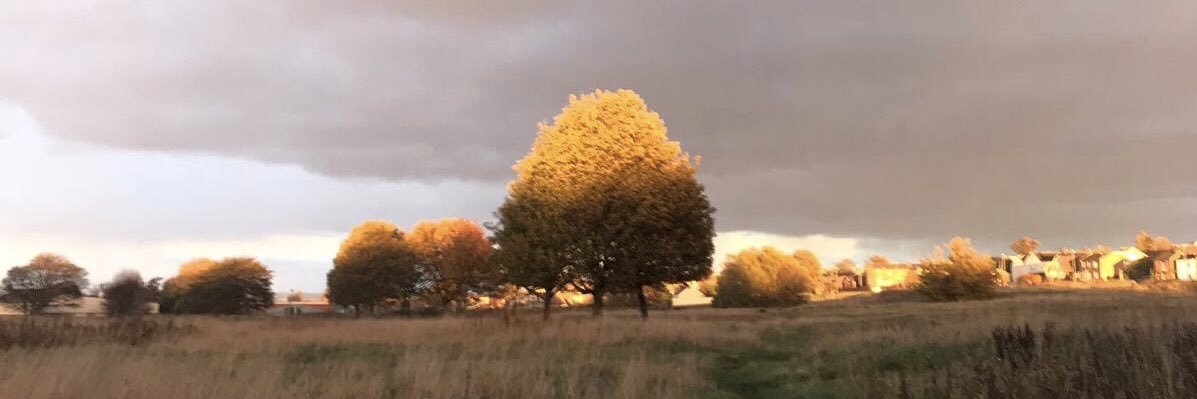 Drig Parish Council banner