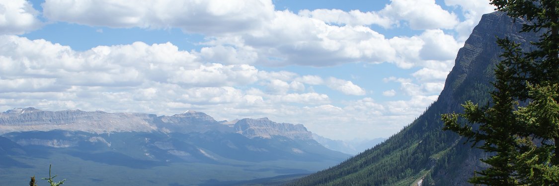 LauraCoristine's profile banner image