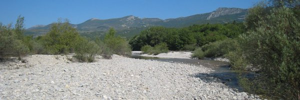 tdatry Profile Banner