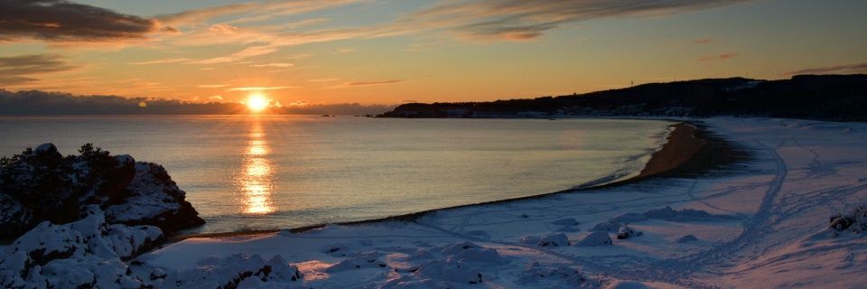 syugen67's profile banner image