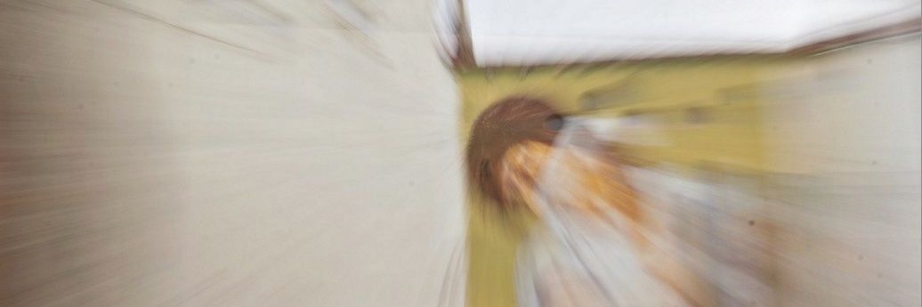 rocío gómez fblanco banner