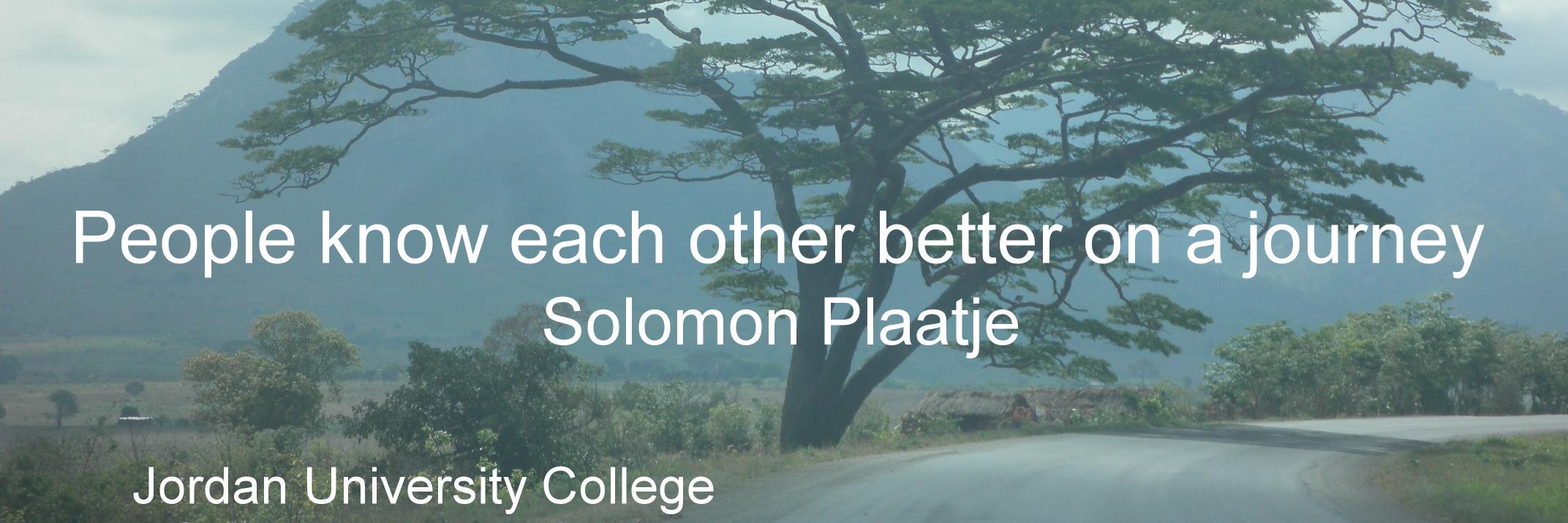 Bernard Witek banner