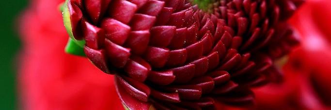 atolokova's profile banner image