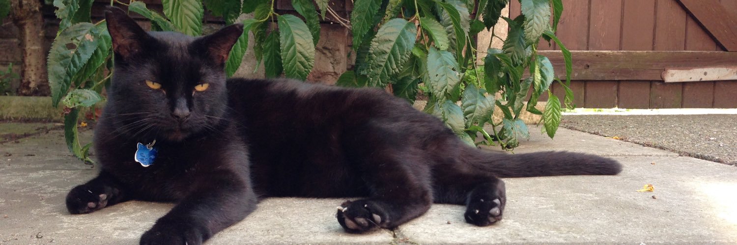 Mr Boris🐾 *Parody* banner