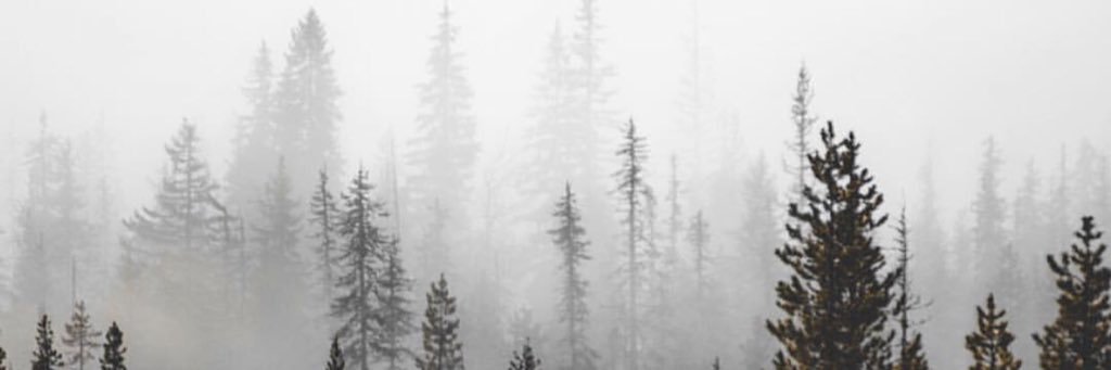 wndrlst banner
