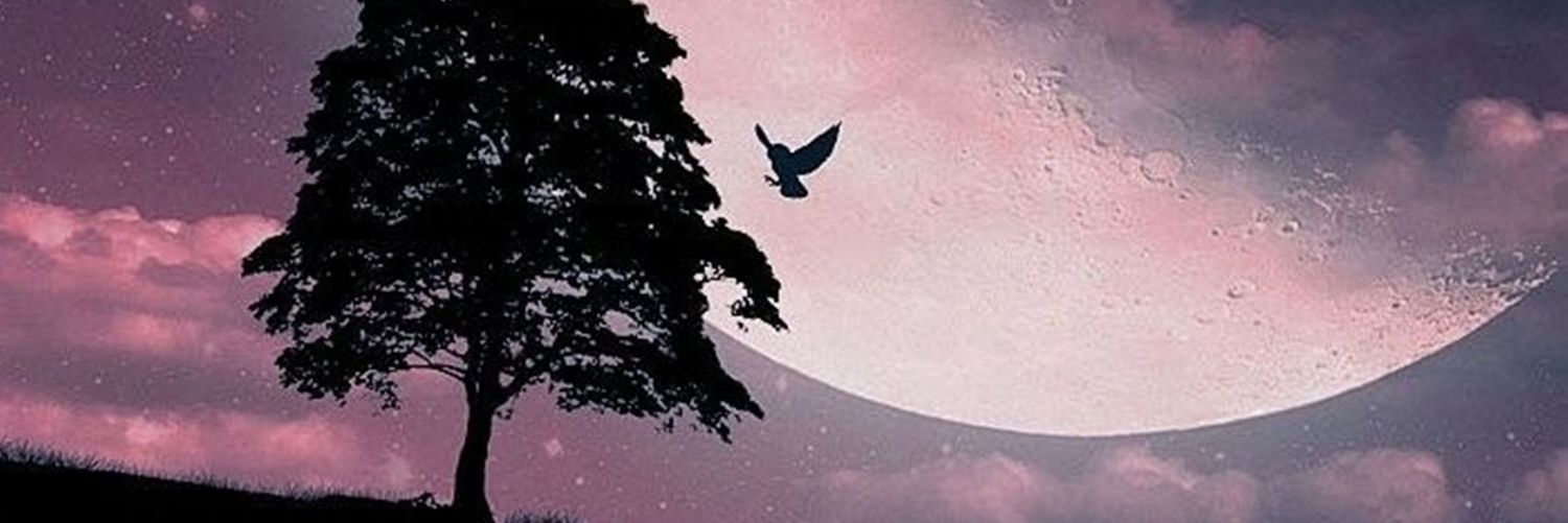 LoghanMath's profile banner image