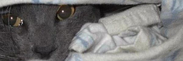 Bethanylcm Profile Banner