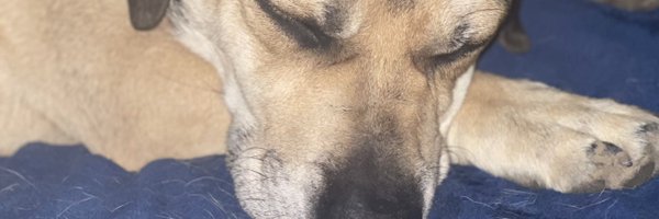 JakeDoesntCare Profile Banner