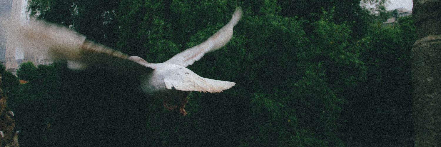CityPopShark's profile banner image
