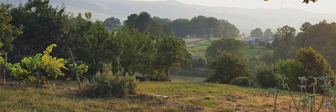 BeaMato's profile banner image