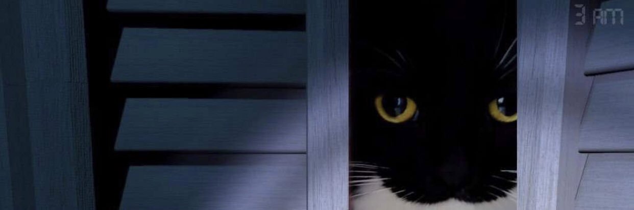Kaze4L's profile banner image