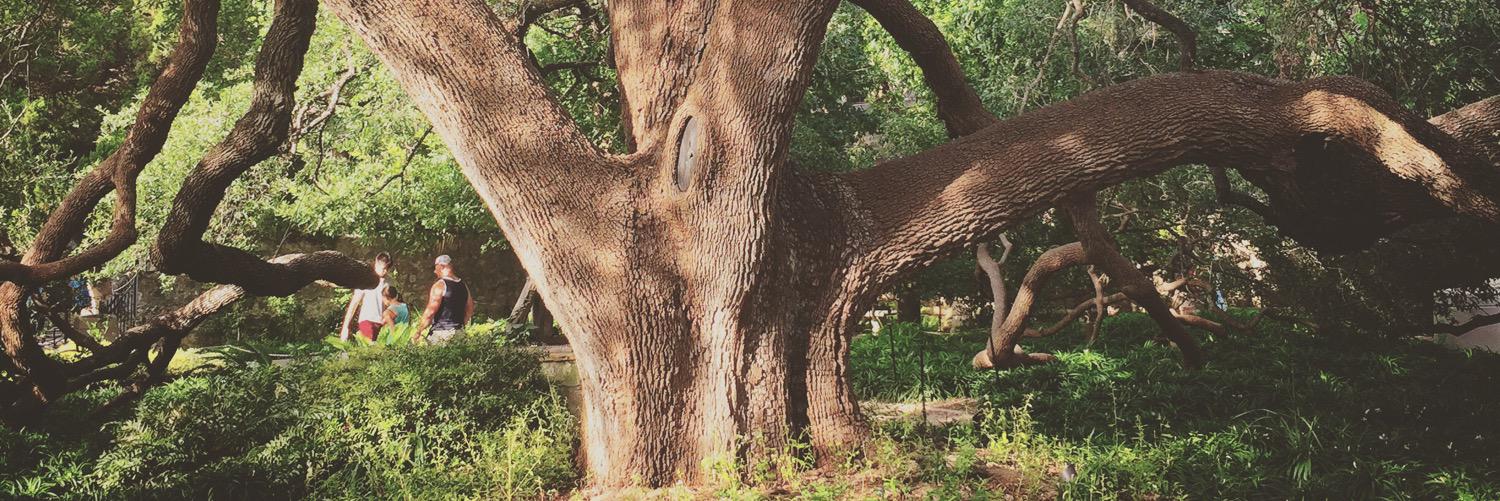 callenderlabs's profile banner image