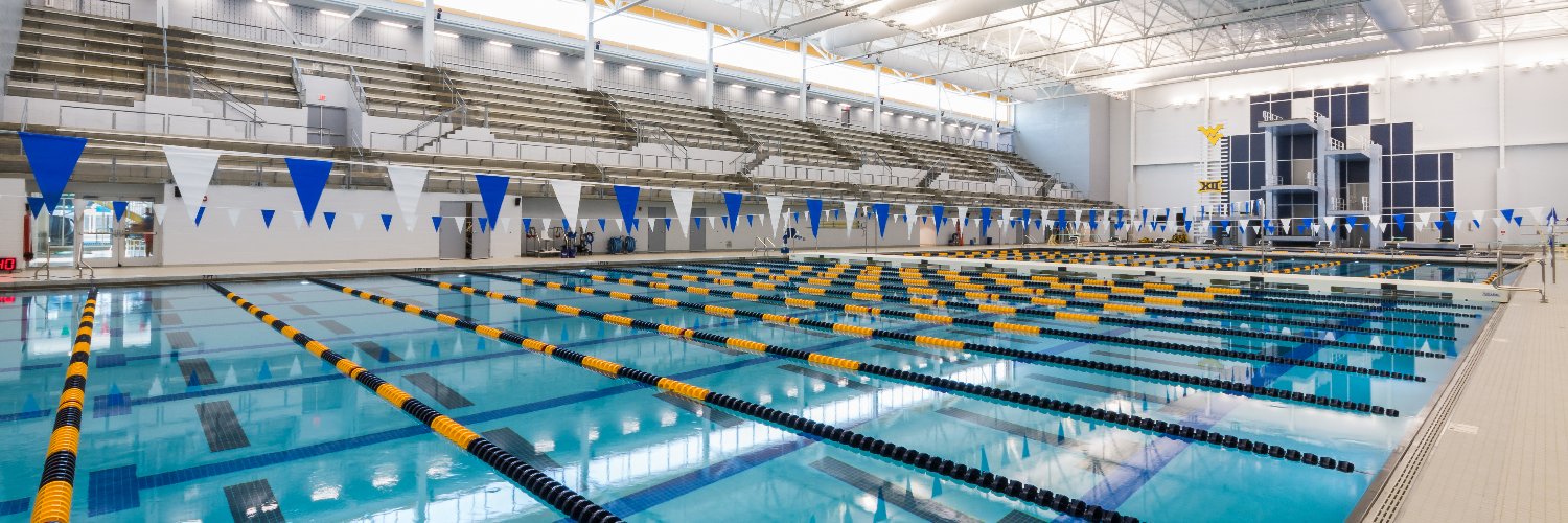 Paradigm Arch banner